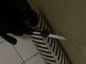 Хулиган с ножом ломился в квартиры челябинцев охрана Челябинск Варяг ЧОП ГБР