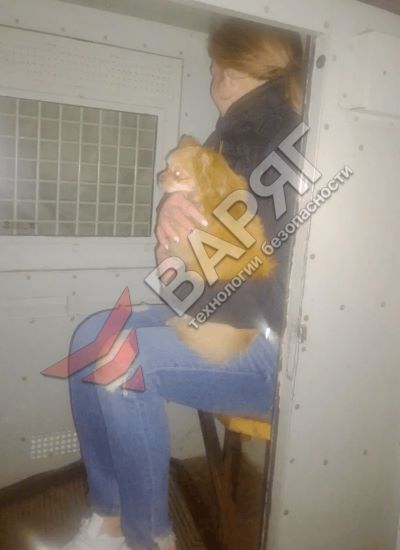 24 25.03.jpg Сводка задержаний за март 2026 охрана Челябинск Варяг ЧОП ГБР