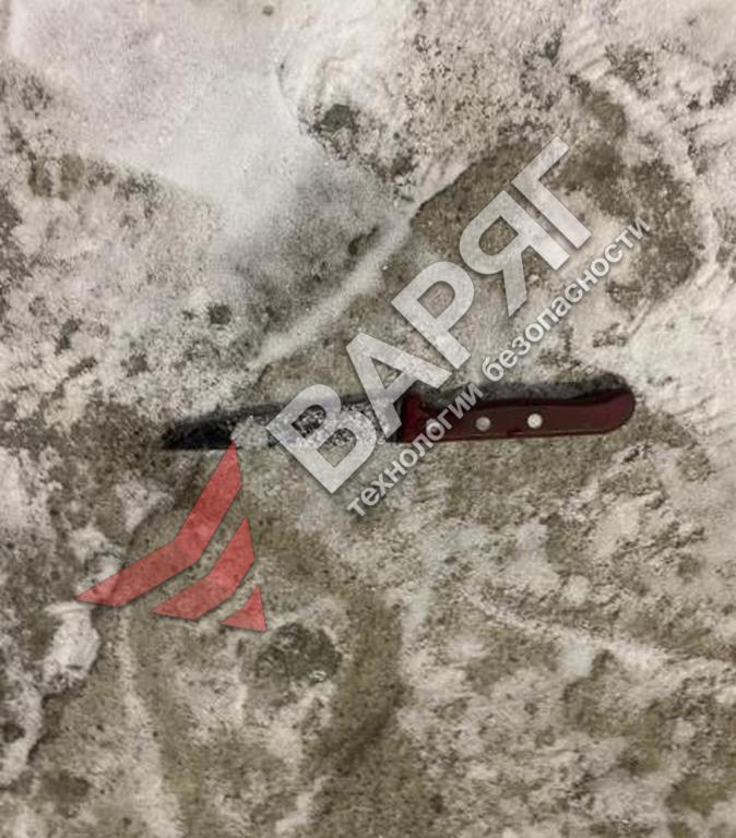 2025-02-09.jpeg Пьяный челябинец с ножом ломал двери общежития ЧелГУ охрана Челябинск Варяг ЧОП ГБР