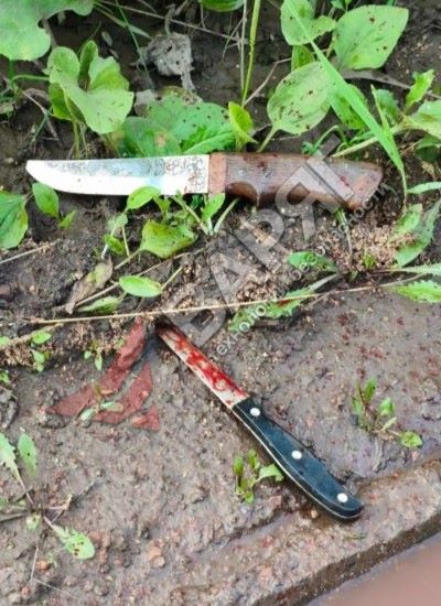 33.jpg Конфликт садоводов в Копейске: угрозы ножами и пожар охрана Челябинск Варяг ЧОП ГБР